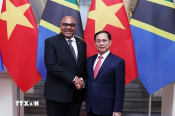 Phó Thủ tướng, Bộ trưởng Ngoại giao Bùi Thanh Sơn đón Bộ trưởng Ngoại giao và Hợp tác Đông Phi nước Cộng hòa Thống nhất Tanzania Mahmoud Thabit Combo. (Ảnh: An Đăng/TTXVN)