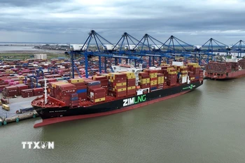 Hàng hóa xuất nhập khẩu từ cảng Việt Nam. (Ảnh minh họa: Vũ Sinh/TTXVN)