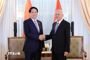 Chủ tịch nước Lương Cường tiếp gặp Tổng thống Iraq Abdul Latif Rashid. (Ảnh: TTXVN)