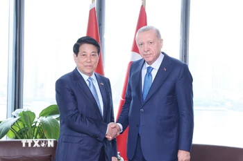 Chủ tịch nước Lương Cường gặp Tổng thống Thổ Nhĩ Kỳ Recep Tayyip Erdogan. (Ảnh: Lâm Khánh/TTXVN)