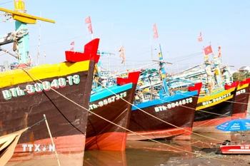 Tàu cá neo đậu trên sông Cà Ty, phường Phan Thiết (Lâm Đồng). (Ảnh: Nguyễn Thanh/TTXVN)