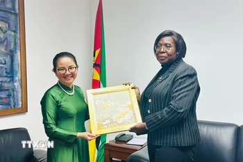 Đại sứ Việt Nam tại Mozambique Trần Thị Thu Thìn chào xã giao Thủ tướng Mozambique Maria Benvinda Delfina Levi. (Ảnh: TTXVN phát)