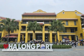 Ngay trong ngày mùng 1, Cảng tàu khách quốc tế Hạ Long đón trên 8.000 lượt du khách tham quan vịnh Hạ Long. (Ảnh: Thanh Vân/TTXVN)