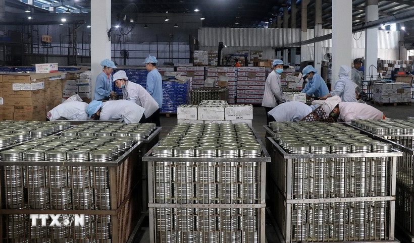 Sản xuất chế biến cá hộp xuất khẩu tại nhà máy thực phẩm đóng hộp KTC, Công ty cổ phần thương mại Kiên Giang. (Ảnh: Lê Huy Hải/TTXVN)