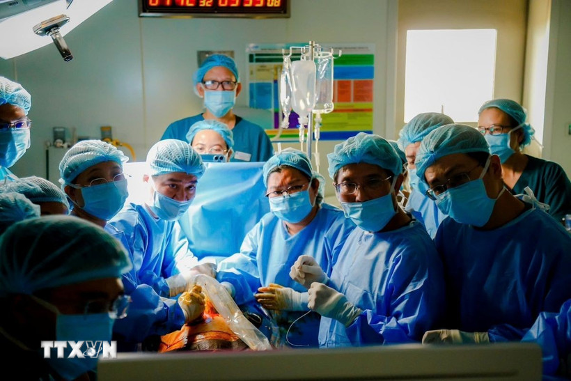 Êkíp bác sỹ 2 bệnh viện Từ Dũ và Nhi Đồng 1 phối hợp phẫu thuật cho sản phụ người Singapore. (Ảnh: TTXVN phát)