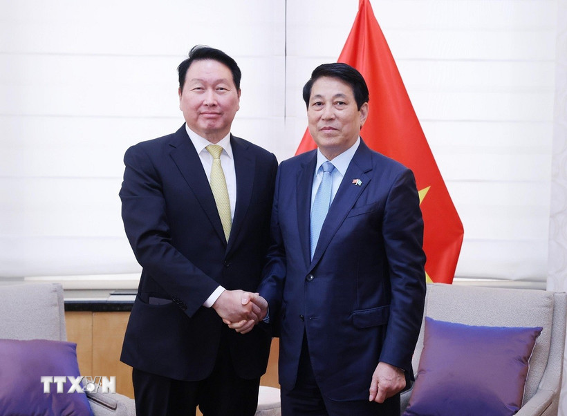 Chủ tịch nước Lương Cường tiếp Chủ tịch Tập đoàn SK, Chủ tịch Hiệp hội Thương mại và Công nghiệp Hàn Quốc Chey Tae-won. (Ảnh: Lâm Khánh/TTXVN)