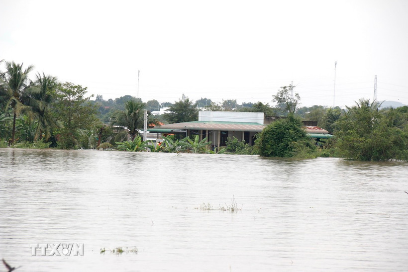 Hàng trăm hộ dân tại xã Hàm Thuận (Lâm Đồng) bị ngập sâu trong nước lũ. (Ảnh: Nguyễn Thanh/TTXVN)