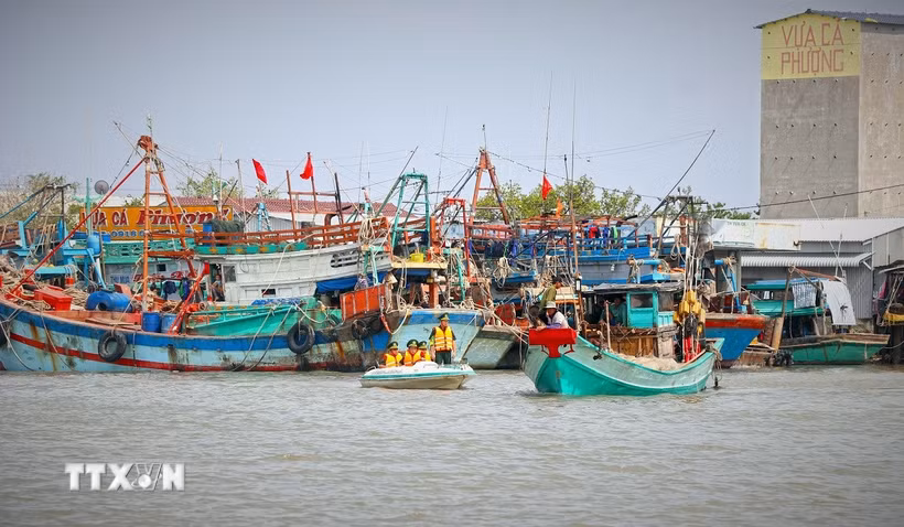 Lực lượng chức năng đến từng tàu thuyền tuyên truyền nhằm nâng cao nhận thức của cộng đồng ngư dân về gỡ thẻ vàng IUU. (Ảnh: Huỳnh Anh/TTXVN)