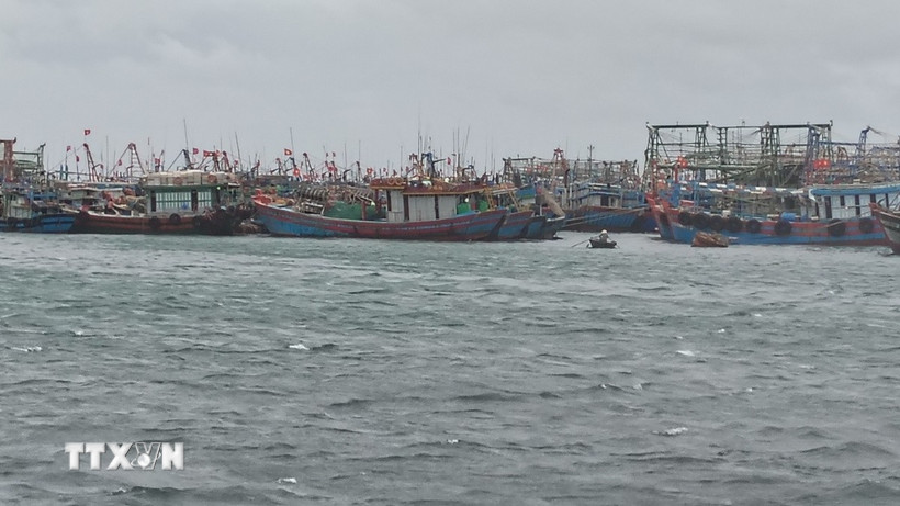 Nhiều phương tiện đã được đưa vào âu thuyền an toàn. (Ảnh: TTXVN phát)