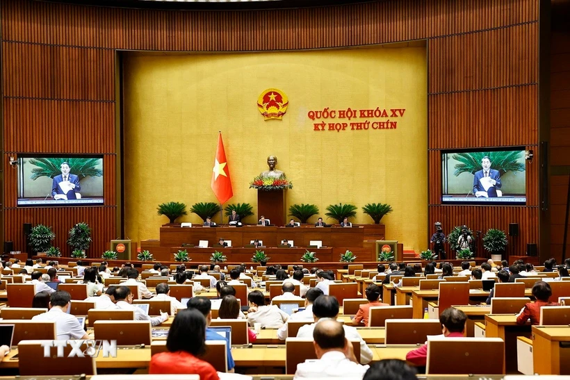 Phó Chủ tịch Quốc hội Nguyễn Đức Hải phát biểu. (Ảnh: Doãn Tấn/TTXVN)