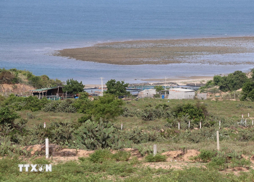 Nhiều hộ dân sinh sống, sản xuất tại vùng lõi dự án Nhà máy điện hạt nhân Ninh Thuận 1 (xã Phước Dinh) vẫn chưa được giải quyết để di dời. (Ảnh: Công Thử/TTXVN)