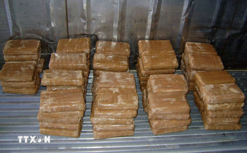 Tang vật trong một vụ bắt giữ cocaine tại Mexico. (Ảnh: AFP/TTXVN)