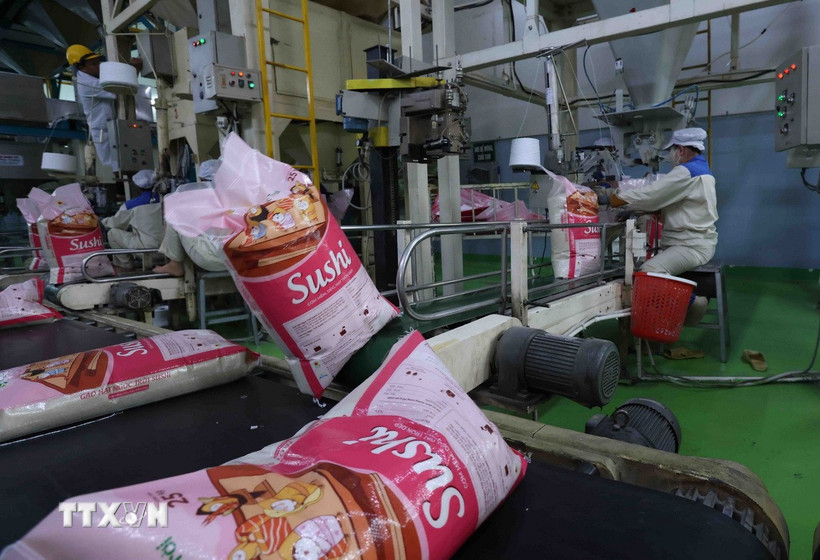 Đóng gói gạo xuất khẩu ở nhà máy của Tập đoàn Lộc Trời tại huyện Thoại Sơn, tỉnh An Giang. (Ảnh: Vũ Sinh/TTXVN)