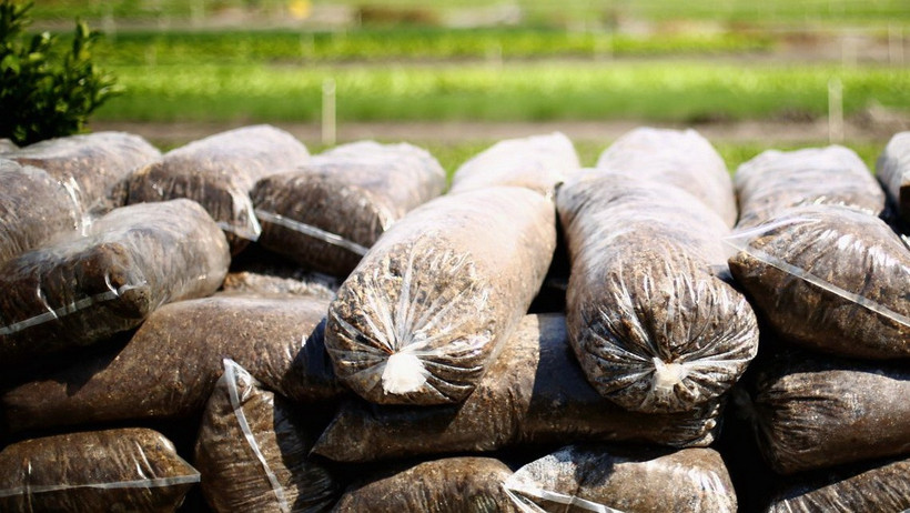 Phân bón nhập khẩu từ Nga và Belarus sẽ bị áp mức thuế rất cao. (Nguồn: Getty Images)