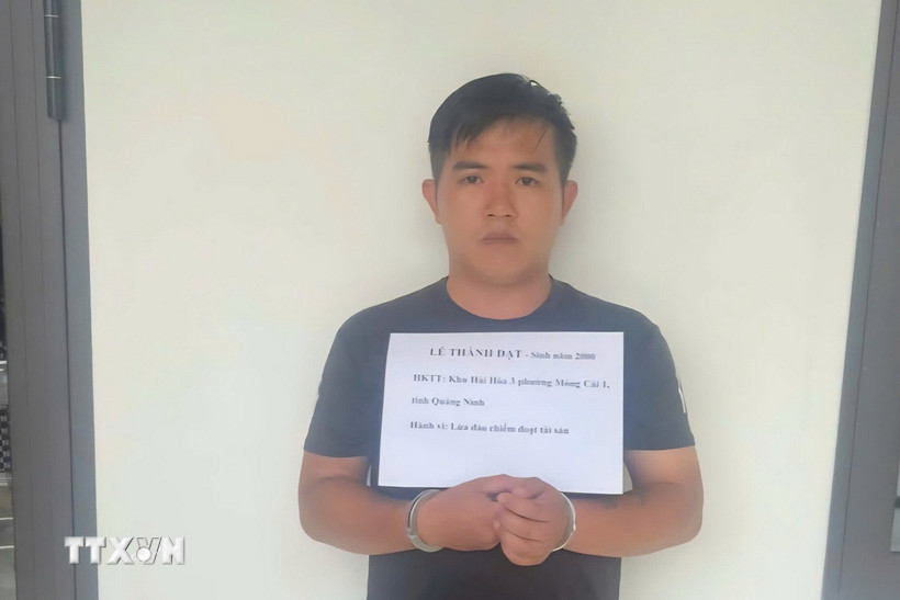 Đối tượng Lê Thành Đạt (sinh năm 2000, trú tại phường Móng Cái 1) bị bắt giữ. (Ảnh: TTXVN phát)