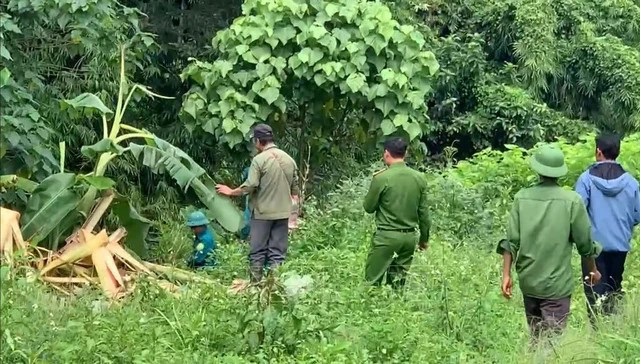 Khu vực ông Mã Văn T. nghi bị voi rừng tấn công. (Nguồn: Báo Đại biểu Nhân dân)