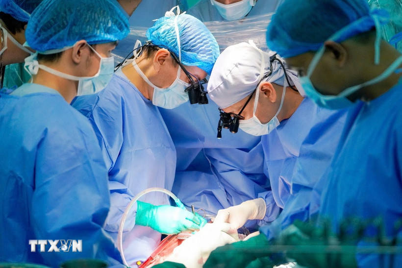 Bác sỹ Bệnh viện Đại học Y dược Thành phố Hồ Chí Minh thực hiện ghép tim cho bệnh nhi 9 tuổi. (Ảnh: TTXVN phát)