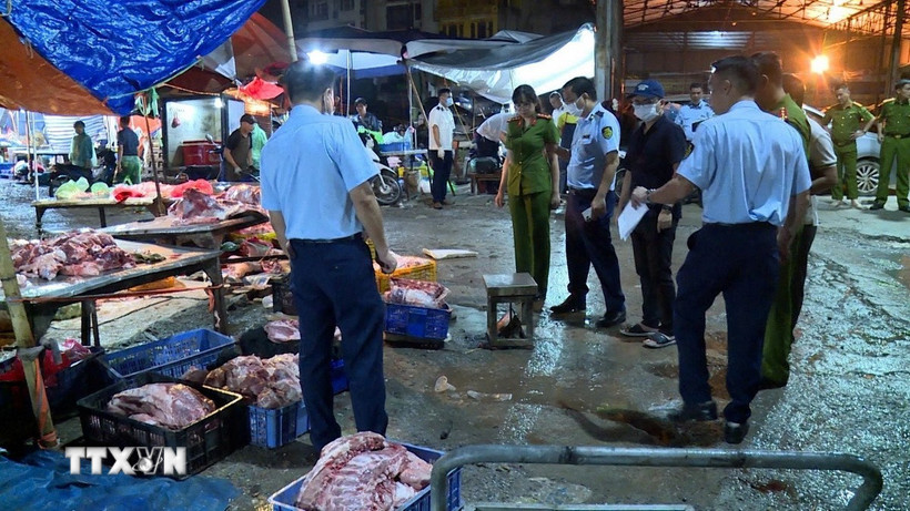 Lực lượng chức năng phát hiện và triệt phá đường dây giết mổ, tiêu thụ thịt lợn nhiễm bệnh ra thị trường. (Ảnh: TTXVN phát)
