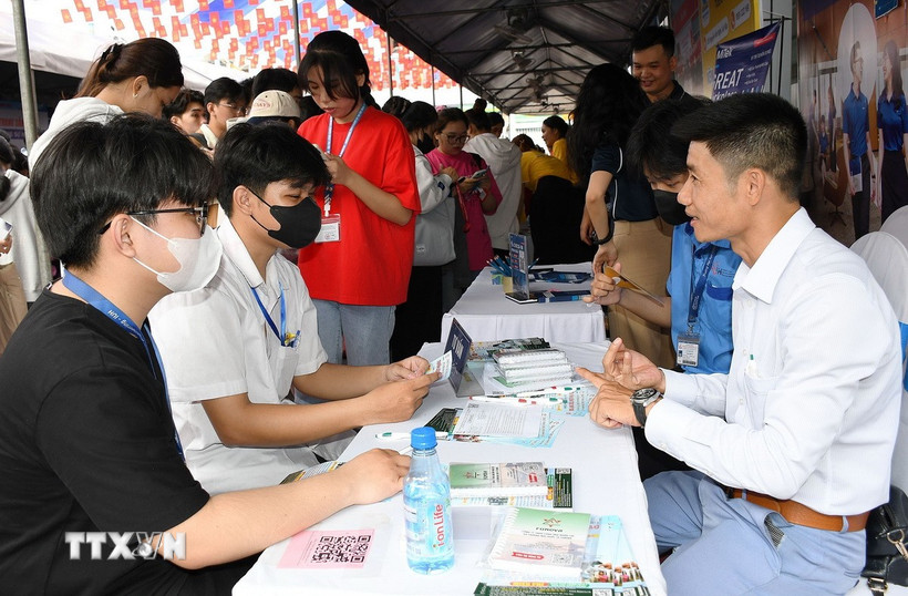 Tư vấn việc làm cho sinh viên, người lao động. (Ảnh: Thanh Vũ/TTXVN)