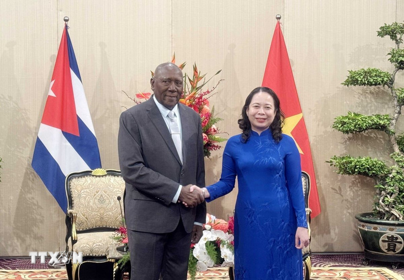 Phó Chủ tịch nước Võ Thị Ánh Xuân hội kiến Ủy viên Bộ Chính trị Đảng Cộng sản Cuba, Phó Chủ tịch nước Cuba Salvador Valdes Mesa. (Ảnh: Xuân Khu/TTXVN)