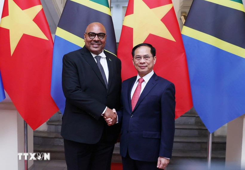 Phó Thủ tướng, Bộ trưởng Ngoại giao Bùi Thanh Sơn đón Bộ trưởng Ngoại giao và Hợp tác Đông Phi nước Cộng hòa Thống nhất Tanzania Mahmoud Thabit Combo. (Ảnh: An Đăng/TTXVN)