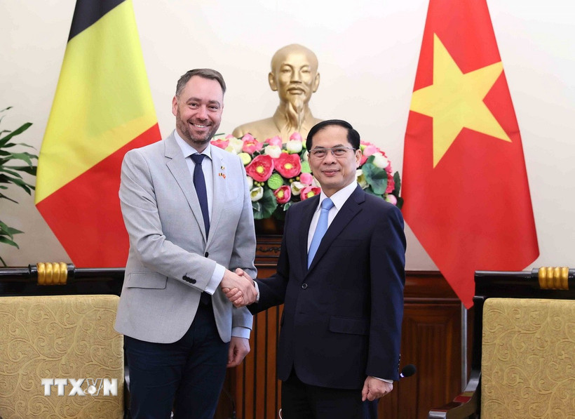 Phó Thủ tướng, Bộ trưởng Ngoại giao Bùi Thanh Sơn tiếp Phó Thủ tướng, Bộ trưởng Ngoại giao, Các vấn đề châu Âu và và Hợp tác phát triển của Vương quốc Bỉ Maxime Prévo. (Ảnh: An Đăng/TTXVN)