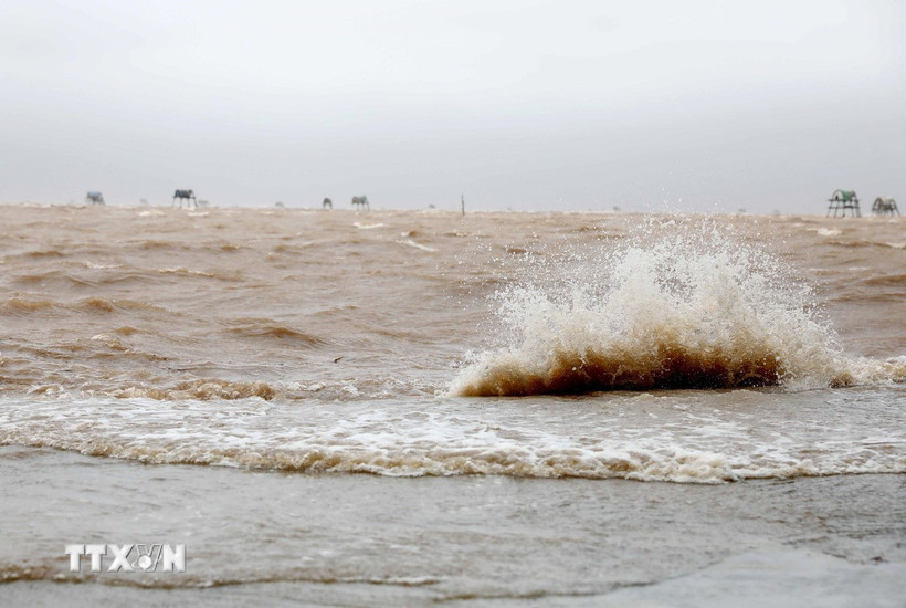 Bão số 3 gây mưa và sóng biển dâng cao tại khu vực xã Đồng Châu (Hưng Yên). (Ảnh: Thế Duyệt/TTXVN)