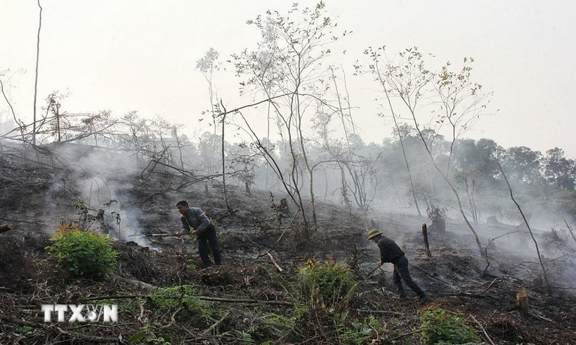 Các lực lượng chức năng cử người thường xuyên canh trực đề phòng lửa vẫn còn âm ỉ dưới lớp thực bì. (Ảnh: TTXVN phát)