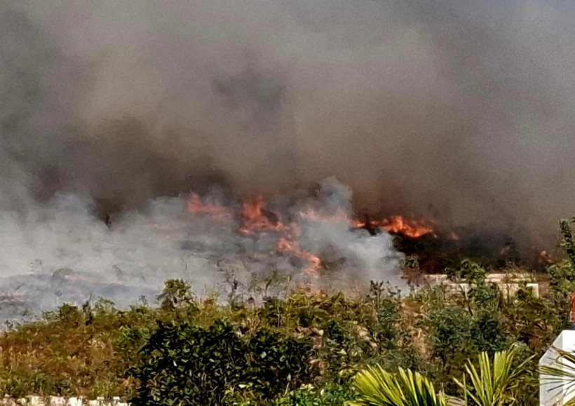 Đám cháy rừng tại phường Đại Yên, thành phố Hạ Long, tỉnh Quảng Ninh. (Ảnh: Đức Hiếu/TTXVN)