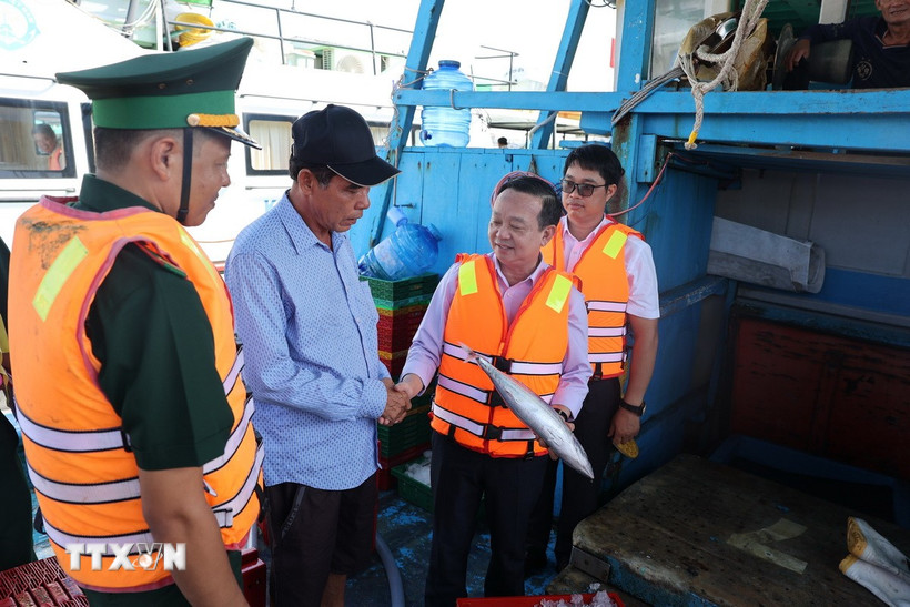 Phó Chủ tịch Ủy ban Nhân dân Thành phố Hồ Chí Minh Bùi Minh Thạnh kiểm tra thực tế tại cảng Incomap, phường Vũng Tàu. (Ảnh: Hoàng Nhị/TTXVN)