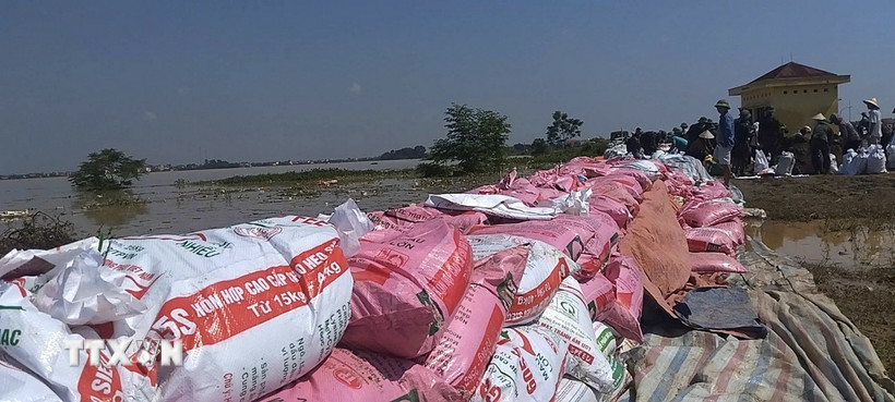 Lực lượng chức năng cùng nhân dân huy động vật tư, phương tiện, trang thiết bị khẩn cấp đắp đê sông Cầu để chống tràn vì nước lũ tiếp tục dâng cao. (Ảnh: Quốc Lũy/TTXVN)