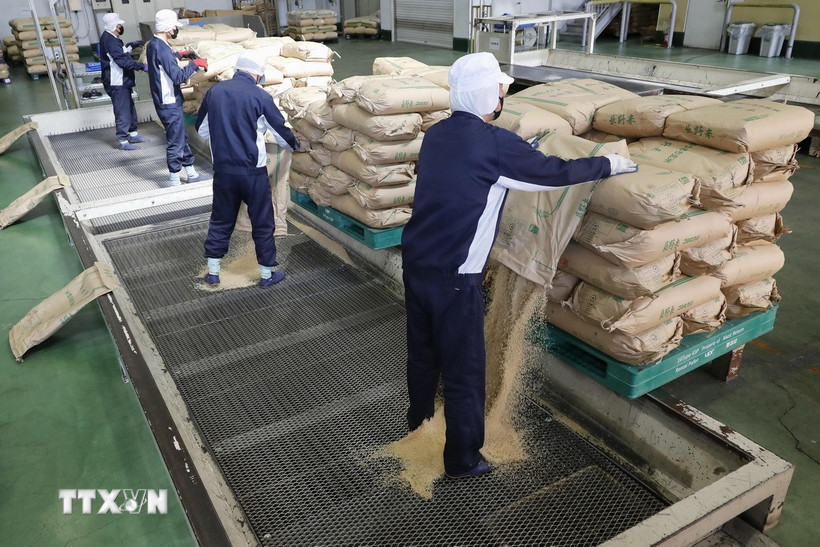 Gạo tại kho dự trữ ở Saitama, Nhật Bản. (Ảnh: Kyodo/TTXVN)