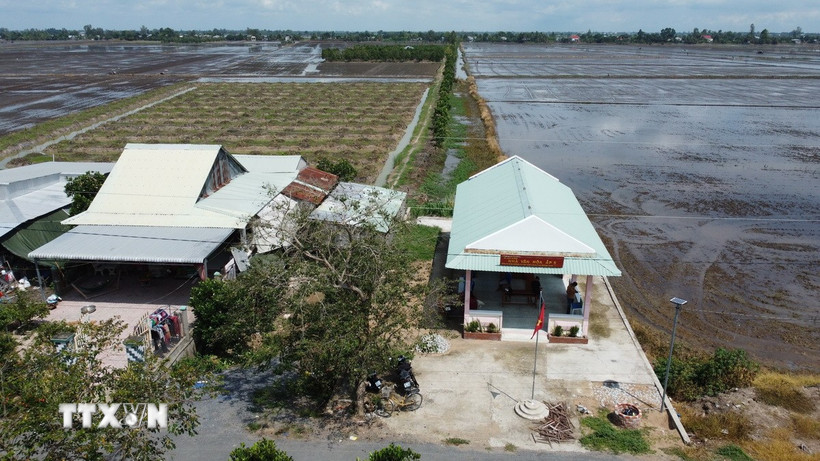 Nhà văn hóa ấp 3 và một chuồng bò “mọc lên” khiến lối đi chung ra đồng ruộng của người dân ở xã Gáo Giồng, huyện Cao Lãnh bị chắn lấp. (Ảnh: Nhựt An/TTXVN)