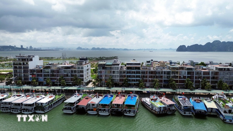 Tàu du lịch tránh trú bão tại âu cảng tàu khách quốc tế Tuần Châu, phường Tuần Châu, tỉnh Quảng Ninh. (Ảnh: Đức Hiếu/TTXVN)