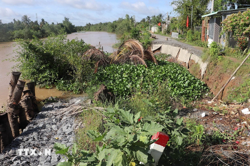 Một điểm sạt lở bờ sông. (Ảnh: Minh Trí/TTXVN)