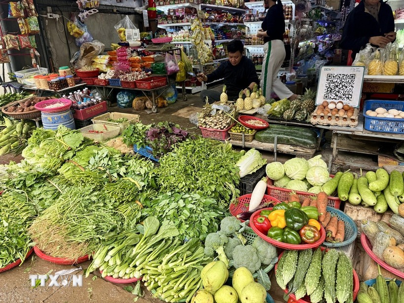 Không chỉ rau xanh, giá các loại rau gia vị cũng tăng cao gấp đôi và khan hiếm hơn do thời tiết không thuận lợi để cây phát triển. (Ảnh: Hoàng Ngà/TTXVN)