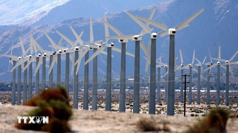 Cánh đồng cối xay gió ở gần Palm Springs, California, Mỹ. (Ảnh: AFP/TTXVN)
