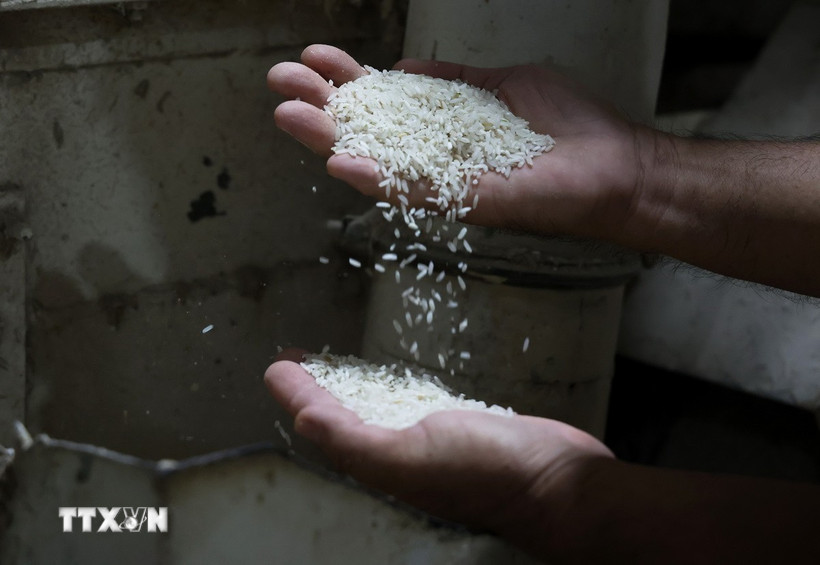 Kiểm tra chất lượng gạo. (Ảnh: Hồng Đạt/TTXVN)