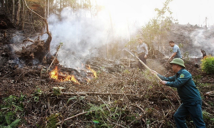 Các lực lượng chức năng chữa cháy. (Ảnh: TTXVN phát)