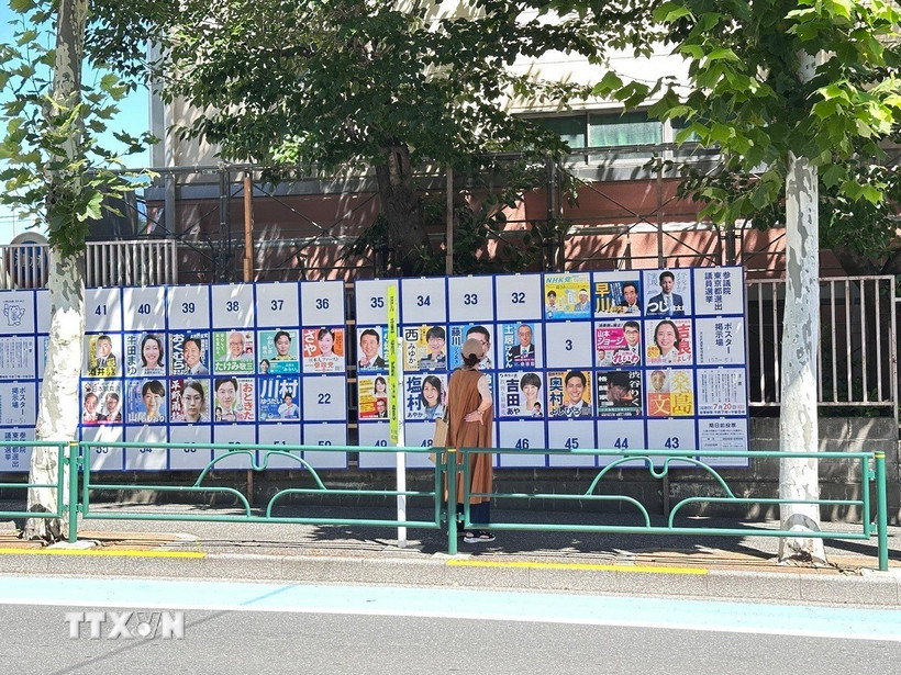 Một cử tri đọc giới thiệu các ứng cử viên tại khu vực bầu cử của mình. (Ảnh: Nguyễn Tuyến/TTXVN)