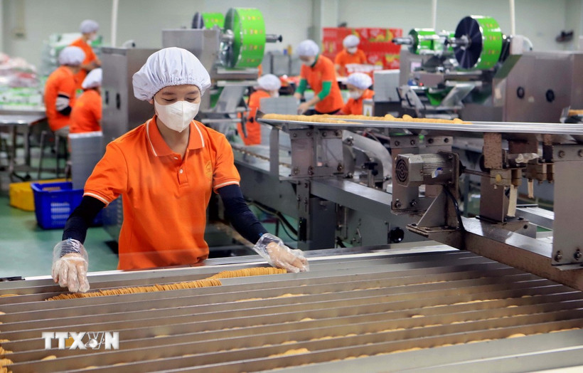 Kinh tế tư nhân được đặt nhiều kỳ vọng bứt phá và phát triển, đưa kinh tế đất nước vững mạnh bước vào kỷ nguyên mới. (Ảnh: Thế Duyệt/TTXVN)