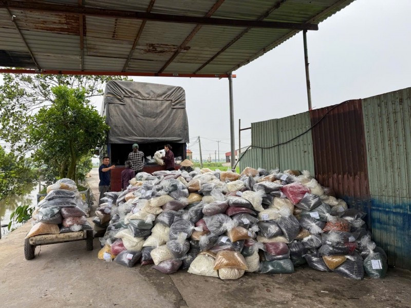 Đối tượng Nguyễn Năng Mạnh và đối tượng Phạm Thị Hường. (Ảnh: Công an cung cấp)