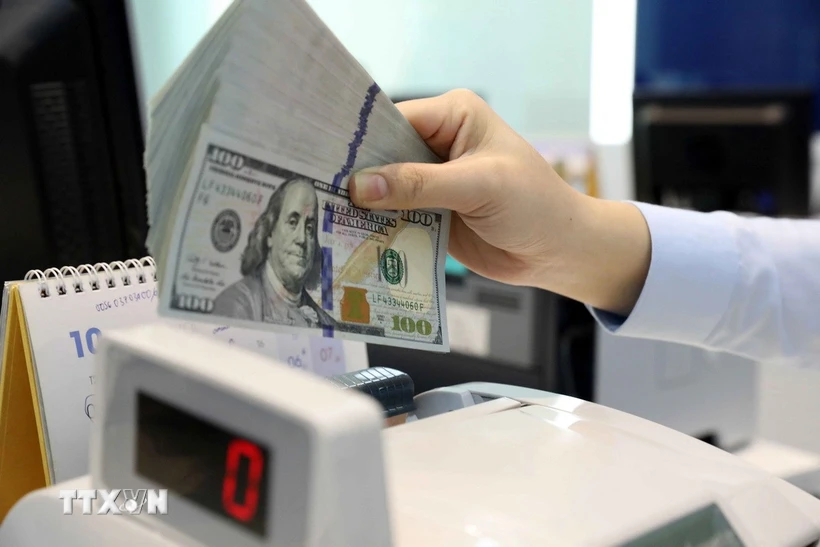 Giao dịch ngoại tệ tại Hội sở Ngân hàng Thương mại cổ phần Bảo Việt. (Ảnh: Trần Việt/TTXVN)