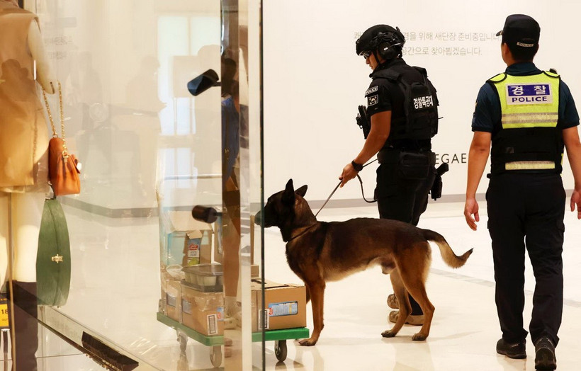 Chó nghiệp vụ của lực lượng cảnh sát đặc nhiệm Hàn Quốc đang tìm kiếm chất nổ tại một cửa hàng bách hóa. Ảnh minh họa. (Nguồn: Yonhap)