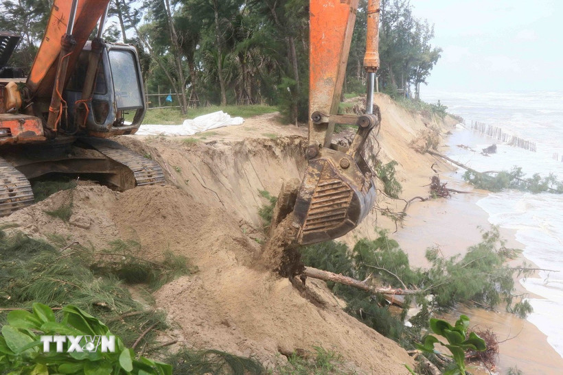 Các đơn vị huy động 2 xe tải cẩu thùng, 2 máy đào công suất lớn, hàng chục công nhân trực tiếp đến hiện trường để múc cát trên bờ gia cố cho những khu vực xung yếu bị sạt lở. (Ảnh: Đoàn Hữu Trung/TTXVN)