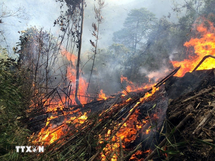 Hiện trường vụ cháy rừng tại núi Nghiêm, xã Hoàng Khai, huyện Yên Sơn, tỉnh Tuyên Quang. (Ảnh: TTXVN phát) 