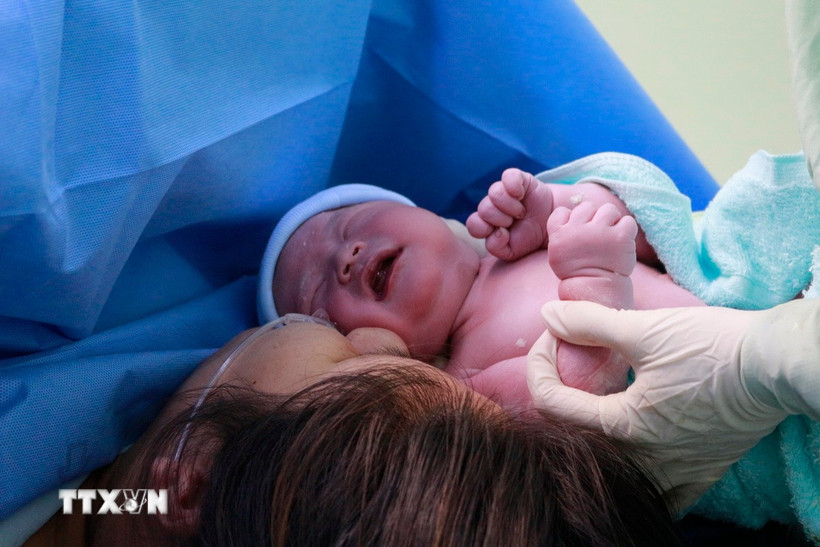 (Ảnh: TTXVN phát)