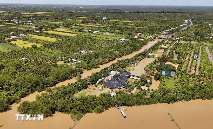 Một vùng sinh thái trên cù lao Bảo, huyện Ba Tri, tỉnh Bến Tre. (Ảnh: Hồng Đạt/TTXVN)