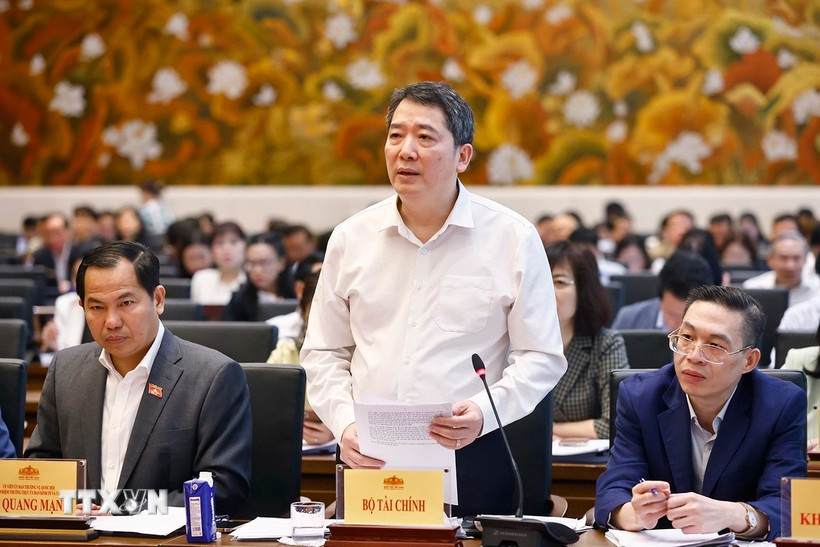 Thứ trưởng Bộ Tài chính Cao Anh Tuấn phát biểu. (Ảnh: Doãn Tấn/TTXVN)