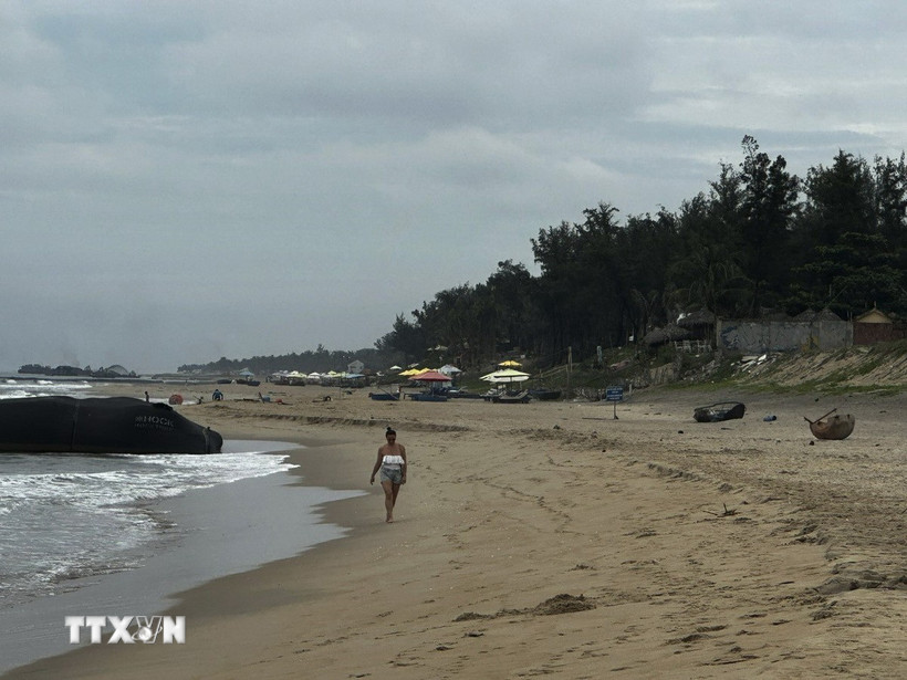 Khu vực bãi tắm biển An Bàng, phường Cẩm An, thành phố Hội An, tỉnh Quảng Nam liên tục sạt lở. (Ảnh: Hữu Trung/TTXVN)